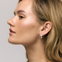 TERRE SILVER