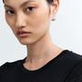 TERRE SILVER